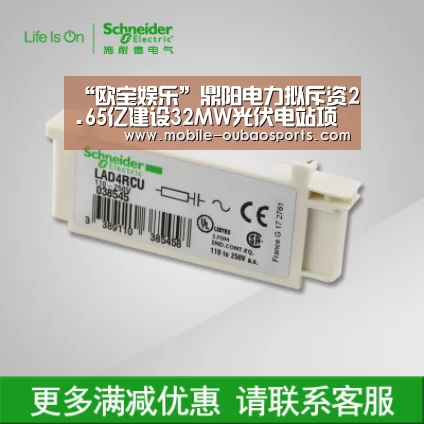 “欧宝娱乐”鼎阳电力拟斥资2.65亿建设32MW光伏电站项目(图2) 欧宝体育下载