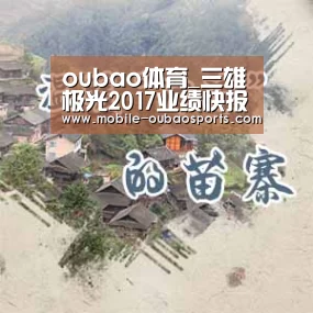 oubao体育_三雄极光2017业绩快报出炉:净利有所下降(图3) oubao体育