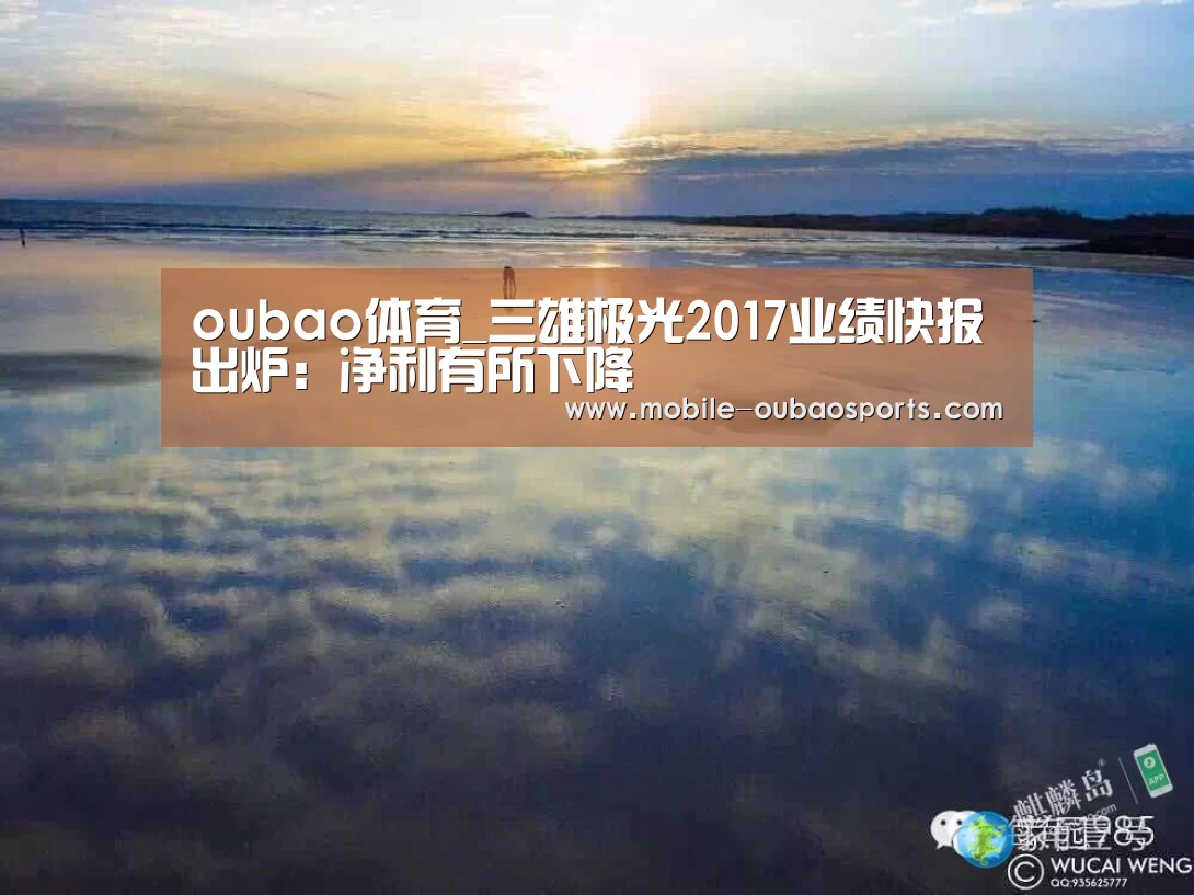 oubao体育_三雄极光2017业绩快报出炉:净利有所下降(图2) oubao体育