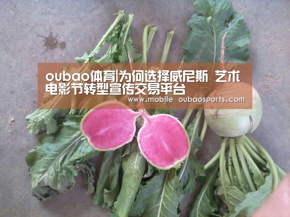 oubao体育|为何选择威尼斯 艺术电影节转型宣传交易平台(图1) oubao体育