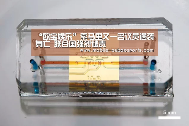 “欧宝娱乐”索马里又一名议员遇袭身亡 联合国强烈谴责(图2) 欧宝娱乐