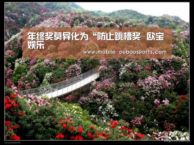欧宝体育